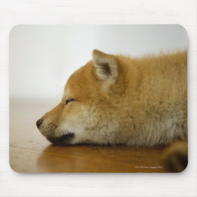 Sleeping Shiba-ken 3 Mouse Mat (Front)