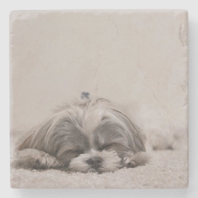 Sleeping Shih tzu Coaster, Sleeping Dog Stone Coaster (Front)