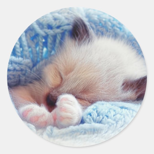 Sleeping Siamese Kitten Paws Classic Round Sticker (Front)