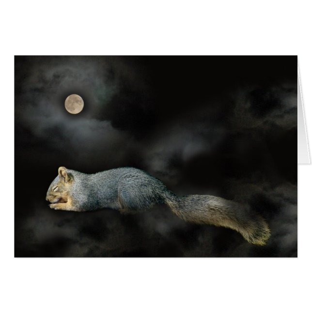 Sleeping Squirrel Card (Front Horizontal)