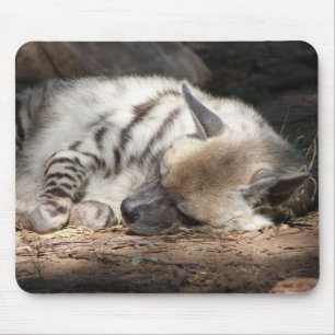 sleeping striped hyena mouse mat