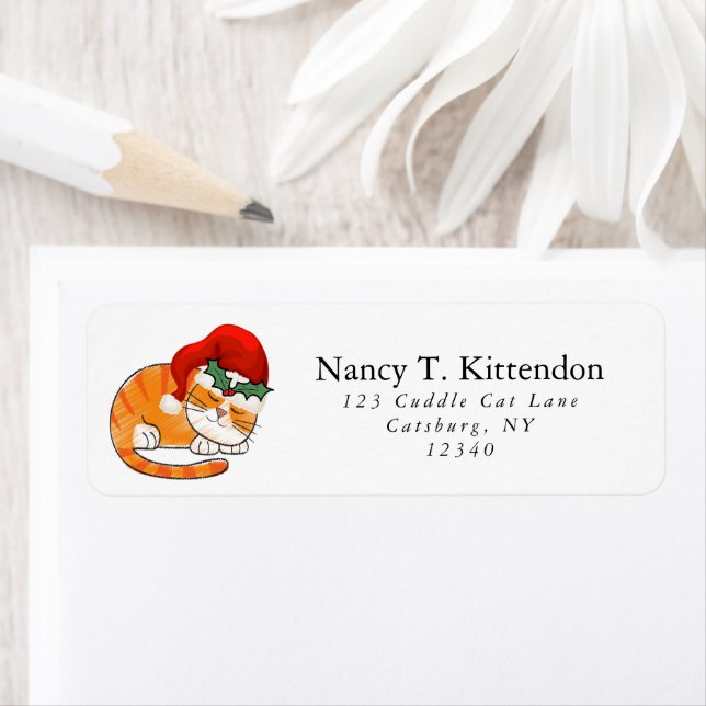 Sleeping Striped Orange Tabby Christmas Santa Cat  (Insitu)