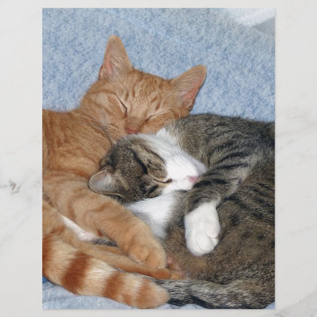Sleeping Sweeties (Front)