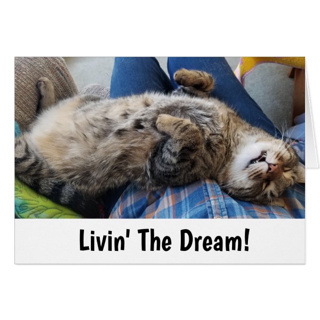 Sleeping Tabby Cat Humour (Front Horizontal)