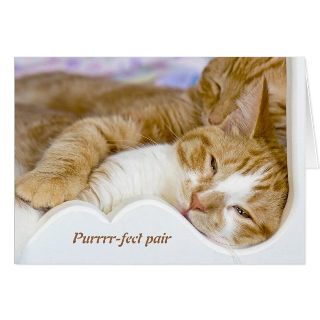 sleeping tabby cats hugging valentine (Front Horizontal)