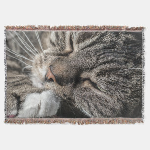 Sleeping Tabby Throw Blanket