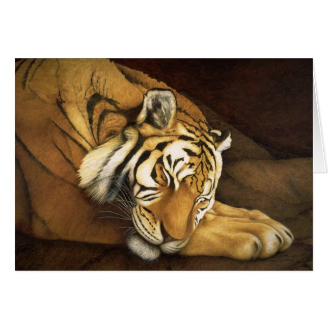 sleeping tiger (Front Horizontal)