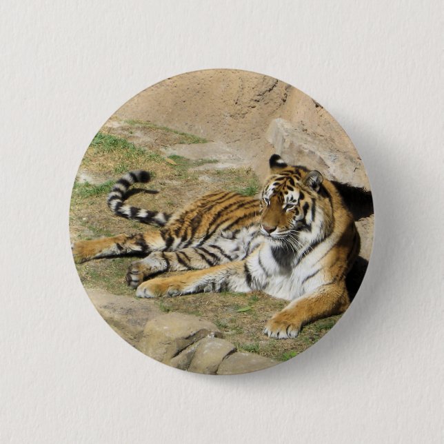 Sleeping Tiger 6 Cm Round Badge (Front)