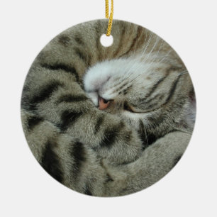 Sleeping Tiger-Cat Ceramic Tree Decoration