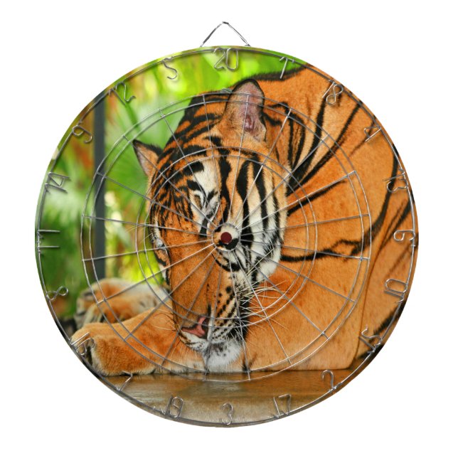 Sleeping Tiger Dartboard (Front)