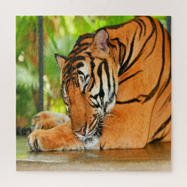 Sleeping Tiger Jigsaw Puzzle (Vertical)