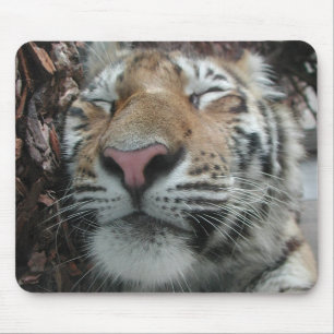Sleeping Tiger Mouse Mat