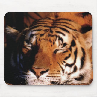 "Sleeping Tiger" Mousepad