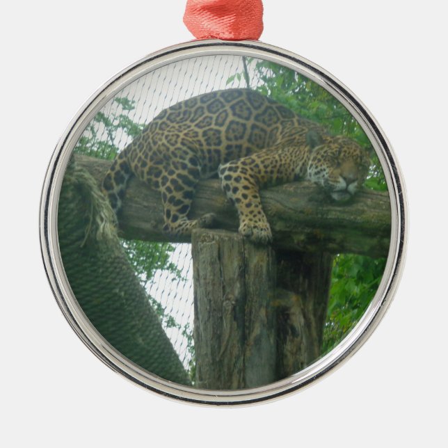 Sleeping Tiger on Tree, Forest, Nature, Wildlife Metal Tree Decoration (Front)