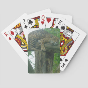 Sleeping Tiger on Tree, Forest, Nature, Wildlife Playing Cards