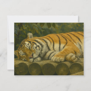 Sleeping Tiger on Wooden Logs Postcard