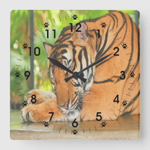 Sleeping Tiger Square Wall Clock