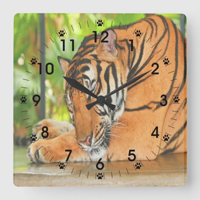 Sleeping Tiger Square Wall Clock (Front)