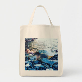 Sleeping Turtle Grocery Bag