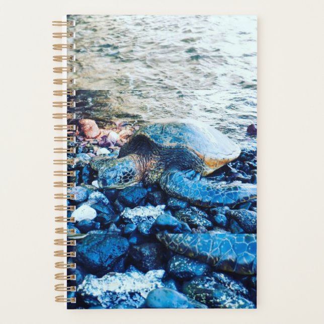 Sleeping Turtle Planner (Front)