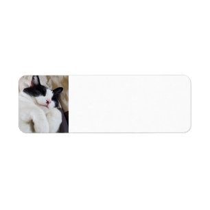 Sleeping Tuxedo Cat Address Labels