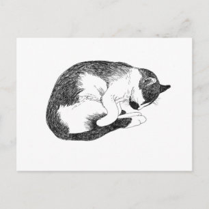 Sleeping Tuxedo Cat Minimalist Drawing Postcard