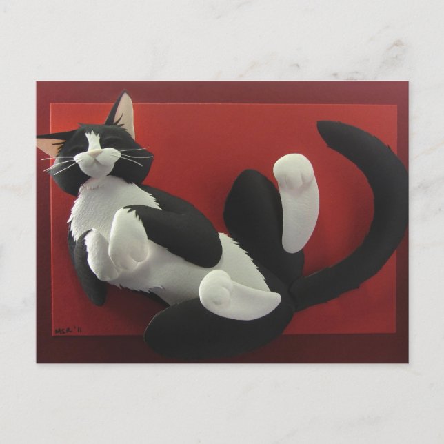 Sleeping Tuxedo Cat Postcard (Front)