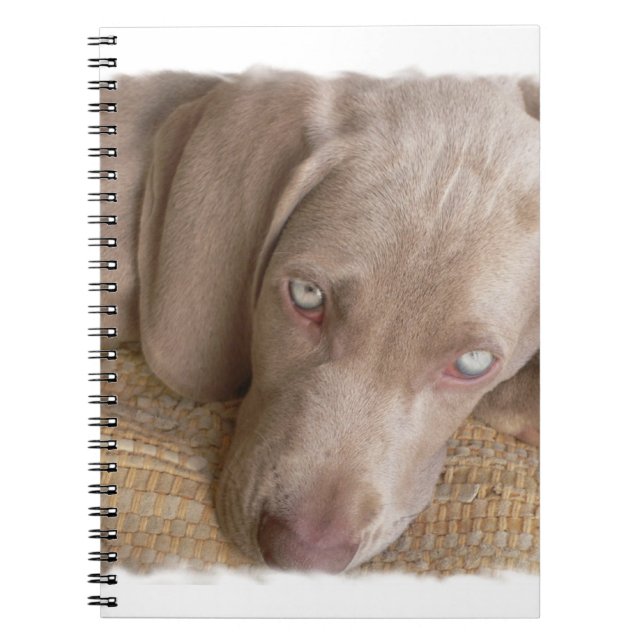 Sleeping Weimaraner Notebook (Front)