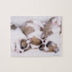 Sleeping welsh corgi puppies jigsaw puzzle