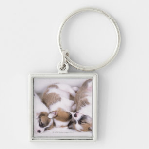 Sleeping welsh corgi puppies key ring