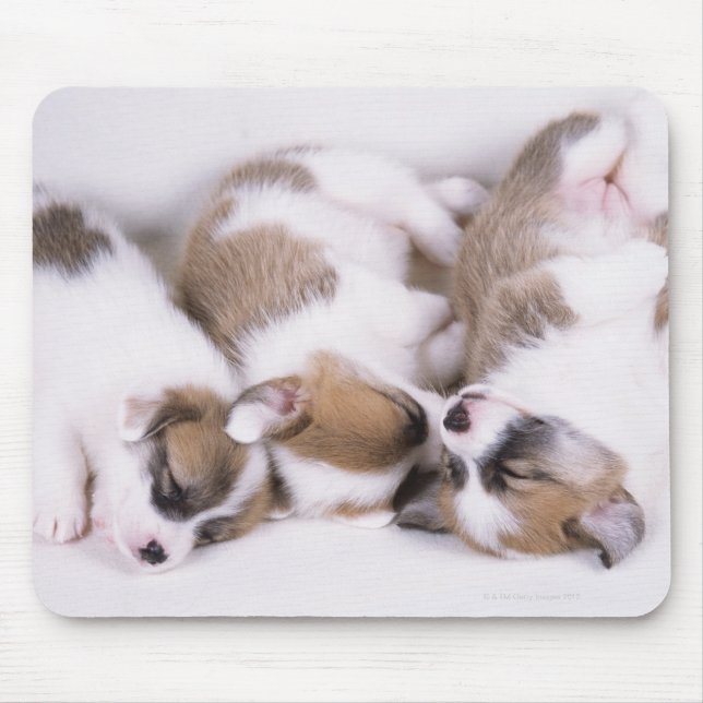 Sleeping welsh corgi puppies mouse mat (Front)
