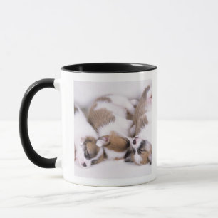 Sleeping welsh corgi puppies mug