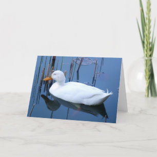Sleeping White Duck Reflection Card