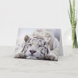 SLEEPING WHITE TIGER BLANK GREETING CARD
