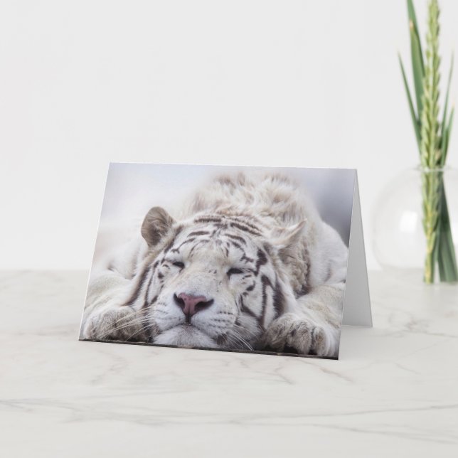 SLEEPING WHITE TIGER BLANK GREETING CARD (Front)