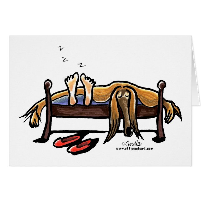 Sleeps with Afghans (Front Horizontal)