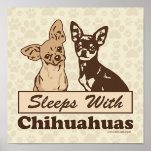 Sleeps With Chihuahuas Dog Poster