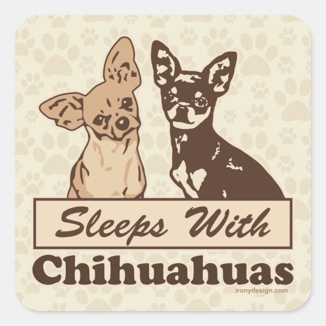 Sleeps With Chihuahuas Square Sticker (Front)