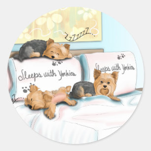 Sleeps with Yorkies Classic Round Sticker