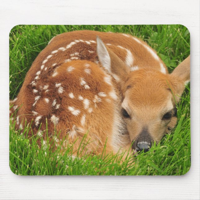 Sleepy Baby Fawn Mouse Mat (Front)