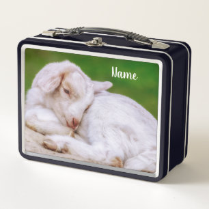 Sleepy Baby Goat Kid Metal Lunch Box