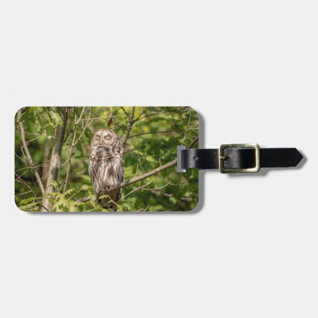 Sleepy Barred Owl Luggage Tag (Front Horizontal)