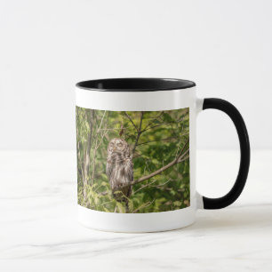 Sleepy Barred Owl Mug