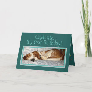 Sleepy Basset On "Party Animal" Birthday Card