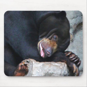 Sleepy Bear Mouse Mat