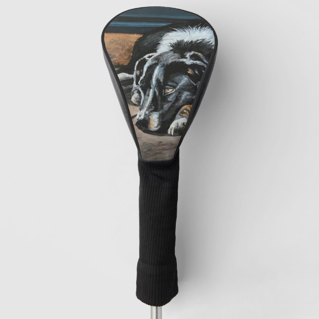 Sleepy Border Collie Golf Driver Cover (Front)
