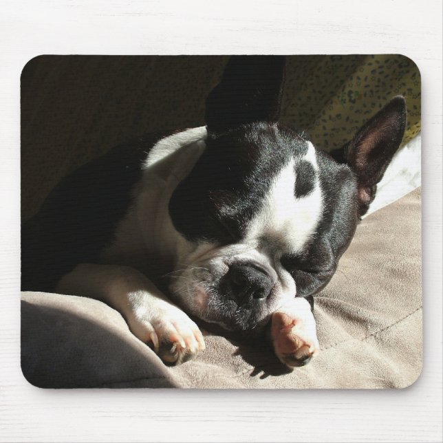 Sleepy Boston Mouse Mat (Front)