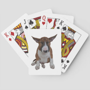Sleepy Bull Terrier Puppy Playing Cards