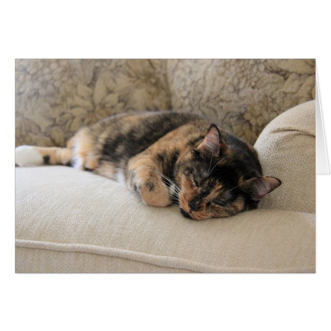 Sleepy Calico Cat, blank notes (Front Horizontal)