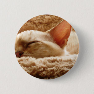 Sleepy Cat 6 Cm Round Badge